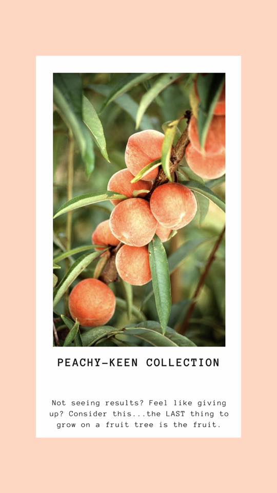 Peachy-Keen Cropped Hoodie